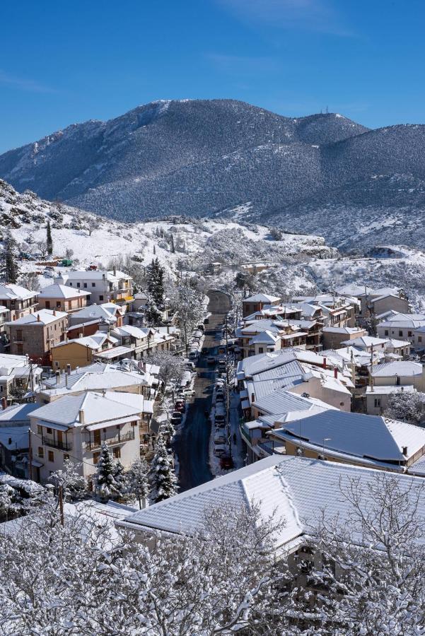 Hotel Paeonia Arachova Zewnętrze zdjęcie