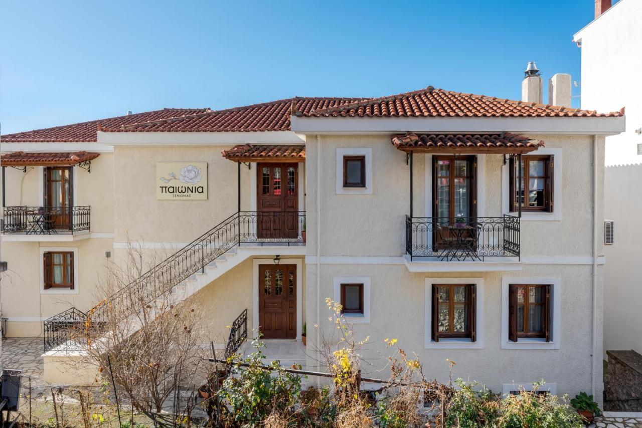 Hotel Paeonia Arachova Zewnętrze zdjęcie